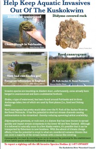 kuskokwim invasive invasives